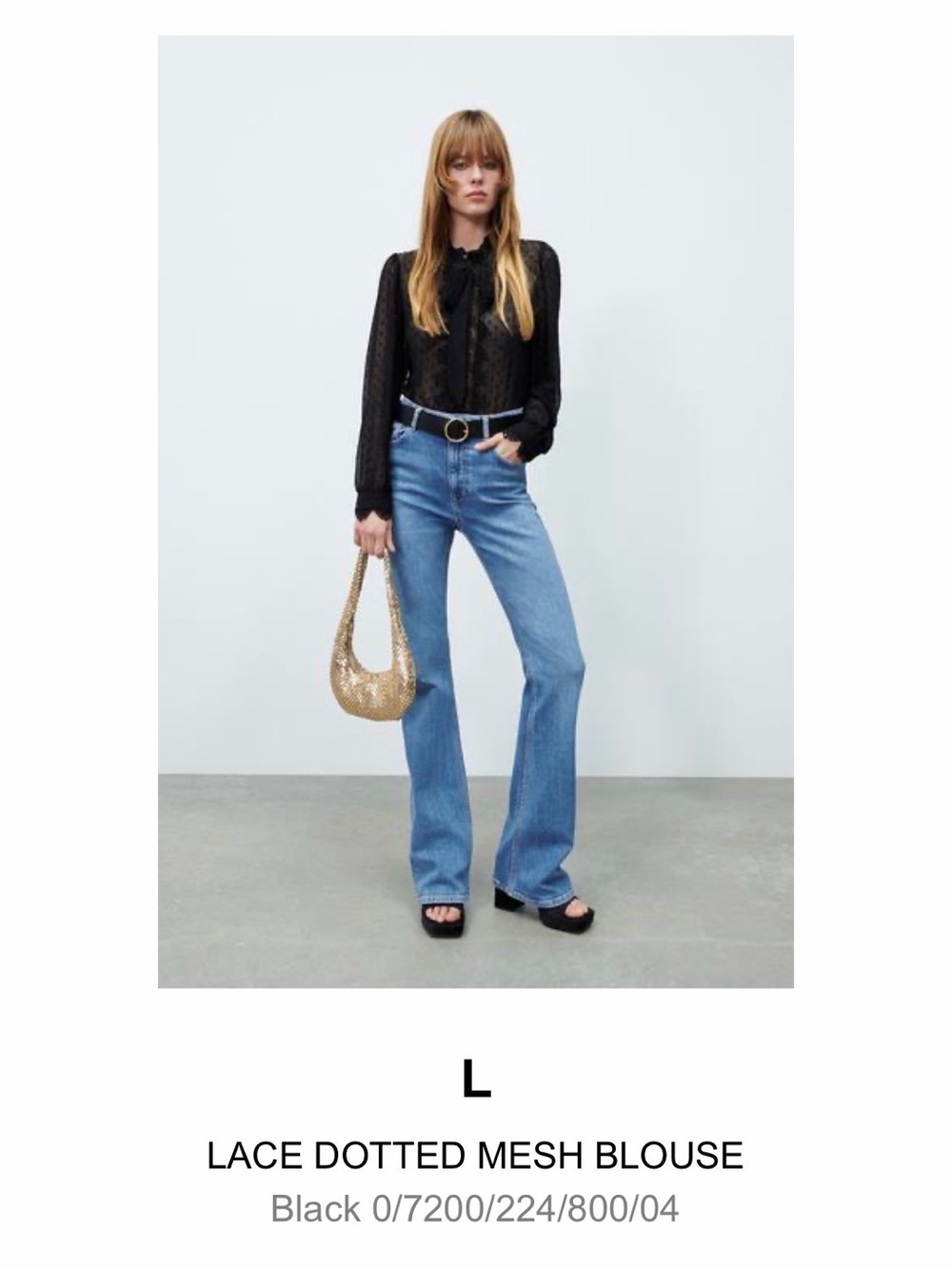 ZARA | Lace dotted sheer blouse